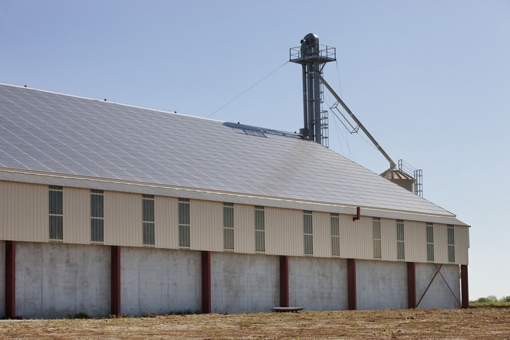 L’exploitation - La Ferme Peultier